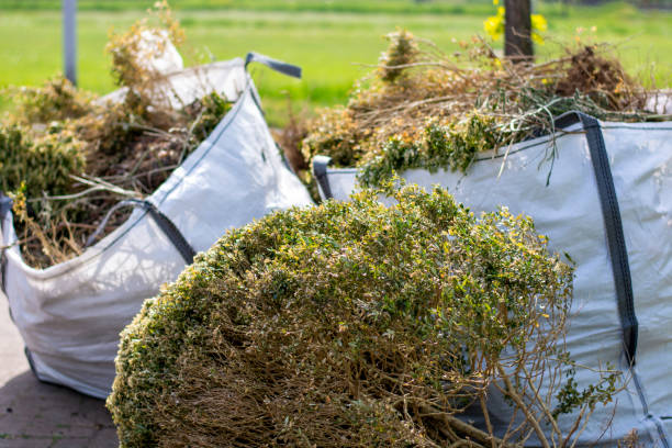 Best Junk Removal Near Me  in Torrance, CA
